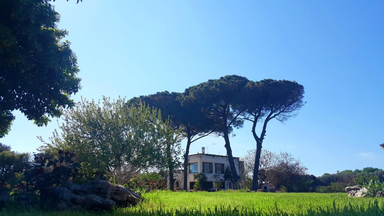Tenuta Donnanna Agriturismo&Glamping Galatone Eksteriør billede
